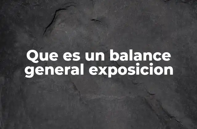 Que es un Balance General Exposicion