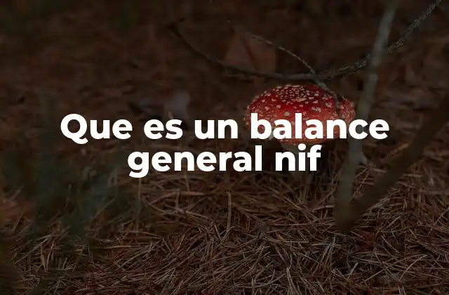 Que es un Balance General Nif