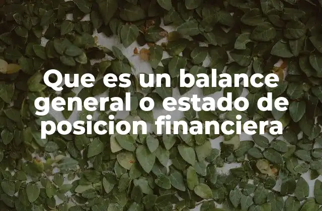 Que es un Balance General o Estado de Posicion Financiera