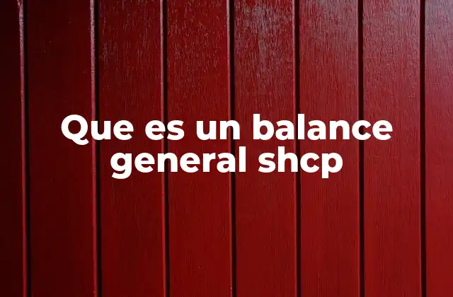 Que es un Balance General Shcp