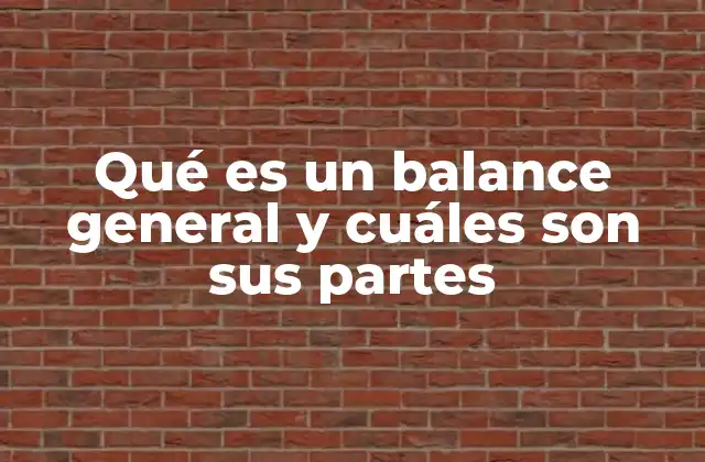 Qué es un Balance General y Cuáles Son Sus Partes 2 Estructura y elementos del estado de situación financiera