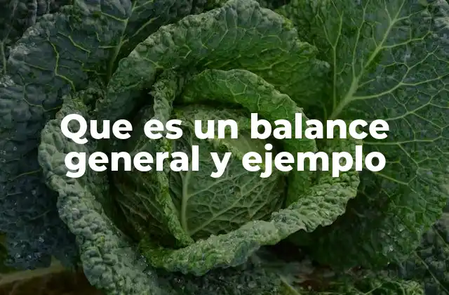 La importancia del estado de situación financiera en la toma de decisiones empresariales