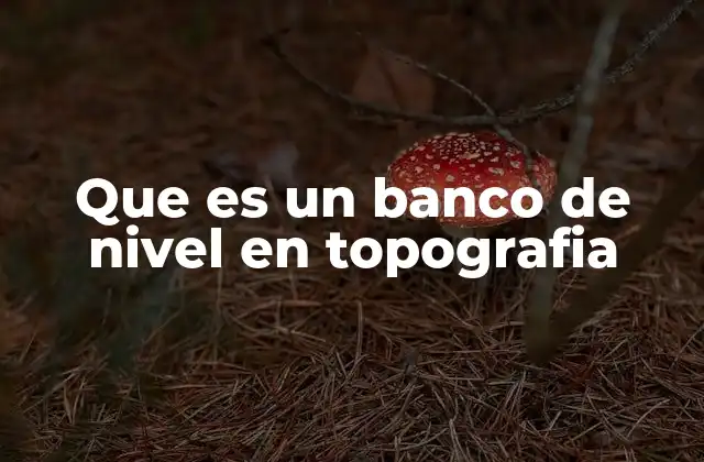 Que es un Banco de Nivel en Topografia