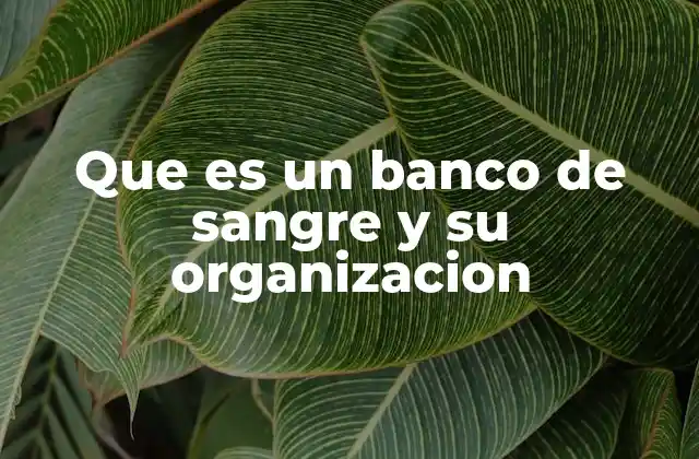 Que es un Banco de Sangre y Su Organizacion