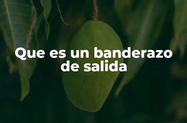 Que es un Banderazo de Salida