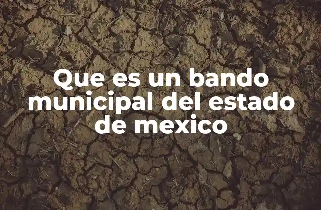 Que es un Bando Municipal Del Estado de Mexico