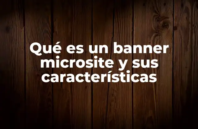 Qué es un Banner Microsite y Sus Características