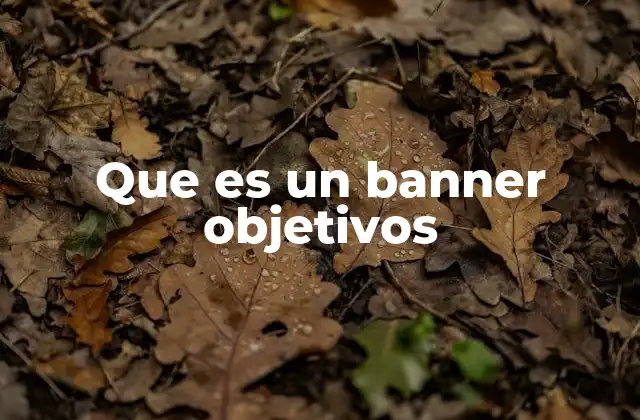 Que es un Banner Objetivos 2 El rol de los banners en la comunicación digital