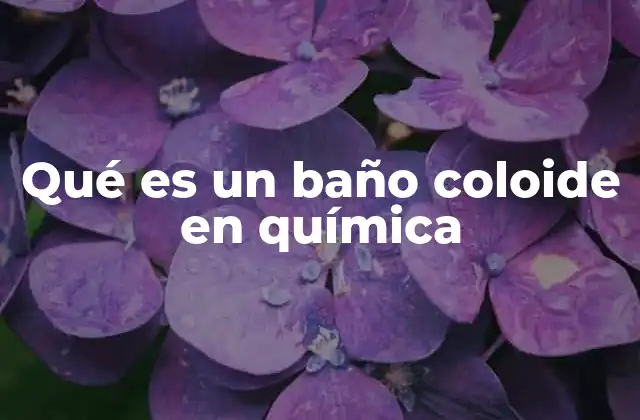 Qué es un Baño Coloide en Química