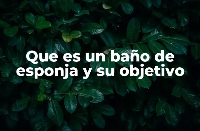 Que es un Baño de Esponja y Su Objetivo