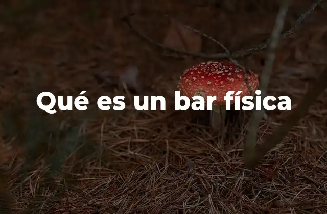 Qué es un Bar Física