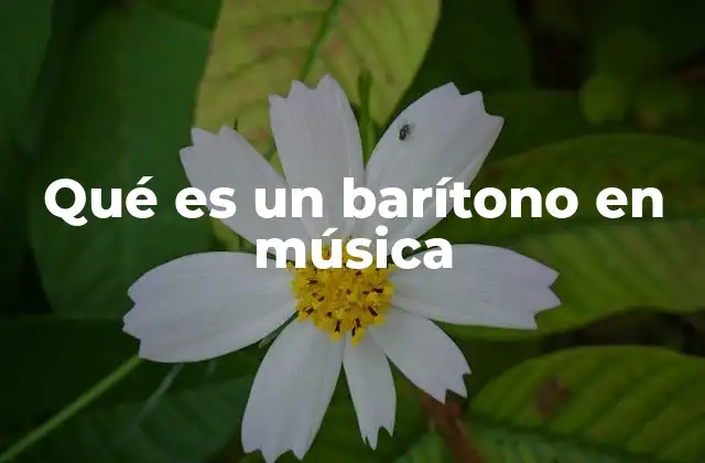Qué es un Barítono en Música