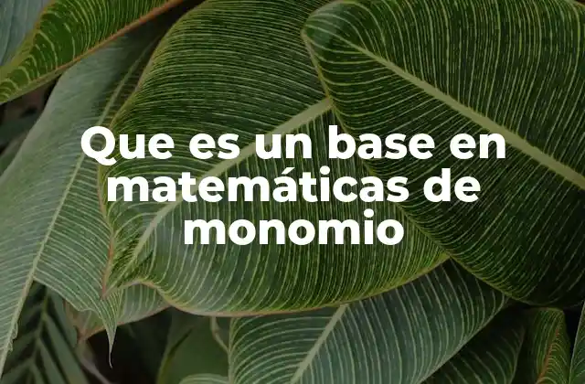 Que es un Base en Matemáticas de Monomio