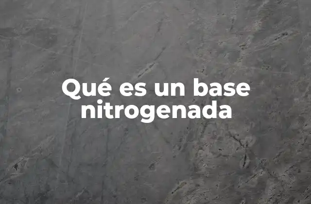 Qué es un Base Nitrogenada