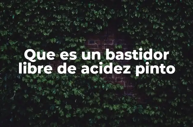Que es un Bastidor Libre de Acidez Pinto 2 La importancia de los bastidores en la confección de ropa