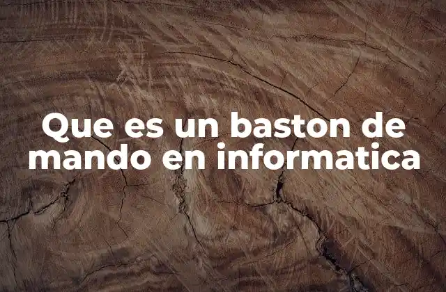 Que es un Baston de Mando en Informatica