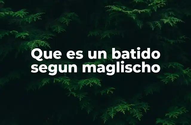 Que es un Batido Segun Maglischo