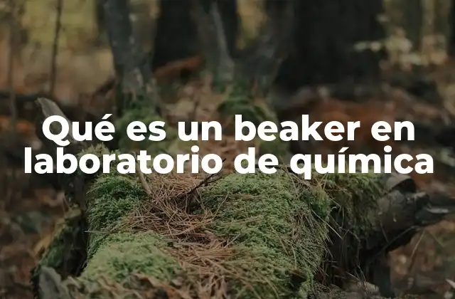 Qué es un Beaker en Laboratorio de Química