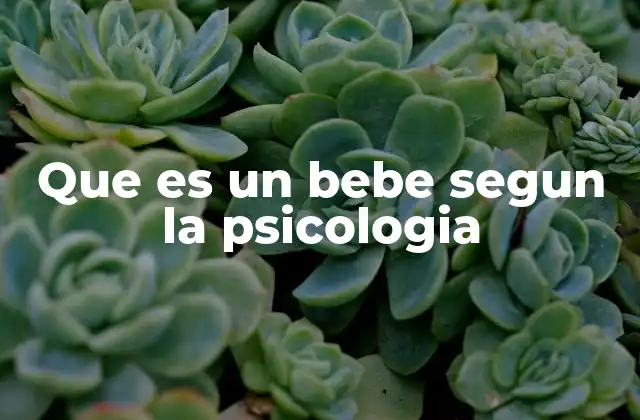 Que es un Bebe Segun la Psicologia
