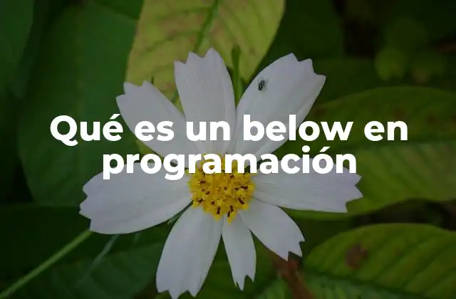 El uso de relaciones espaciales en estructuras de datos