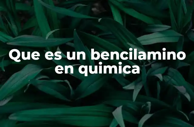 Que es un Bencilamino en Quimica