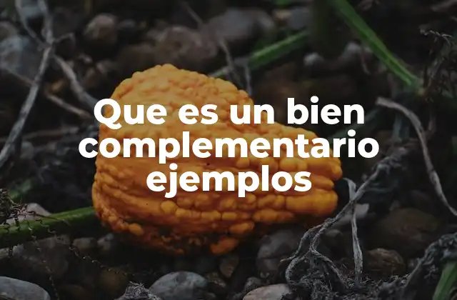 Que es un Bien Complementario Ejemplos