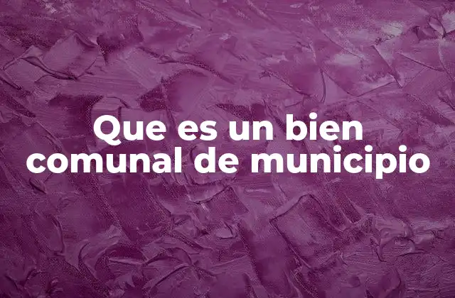 Que es un Bien Comunal de Municipio
