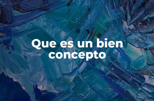 Que es un Bien Concepto