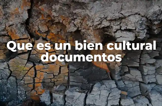 Que es un Bien Cultural Documentos