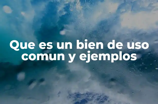 Que es un Bien de Uso Comun y Ejemplos