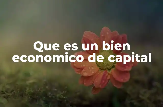 Que es un Bien Economico de Capital