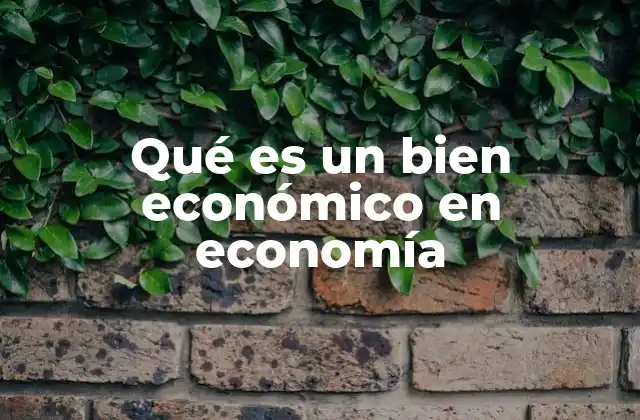 Qué es un Bien Económico en Economía