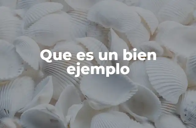 Que es un Bien Ejemplo