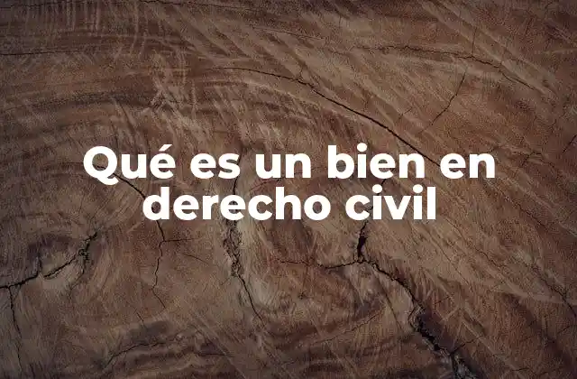 Qué es un Bien en Derecho Civil