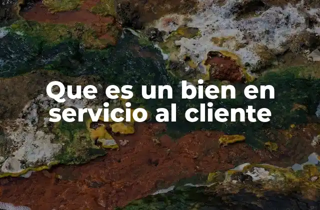 Que es un Bien en Servicio Al Cliente 2 La importancia de los bienes en el entorno de atención al cliente