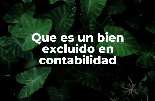 Que es un Bien Excluido en Contabilidad