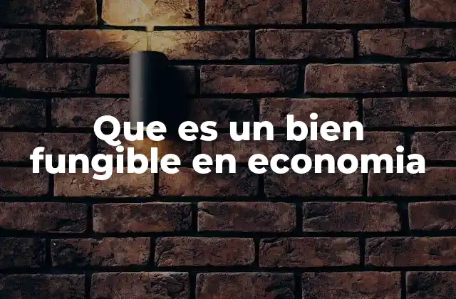 Que es un Bien Fungible en Economia