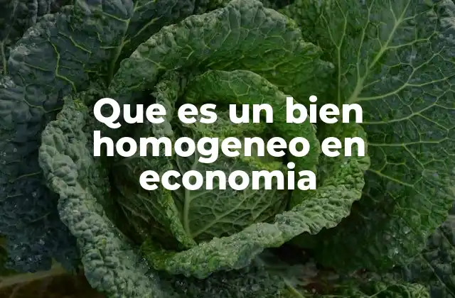 Que es un Bien Homogeneo en Economia