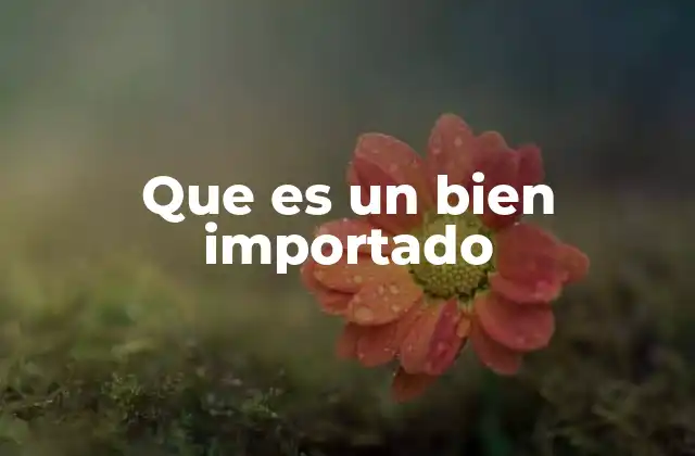 Que es un Bien Importado