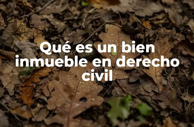 Qué es un Bien Inmueble en Derecho Civil