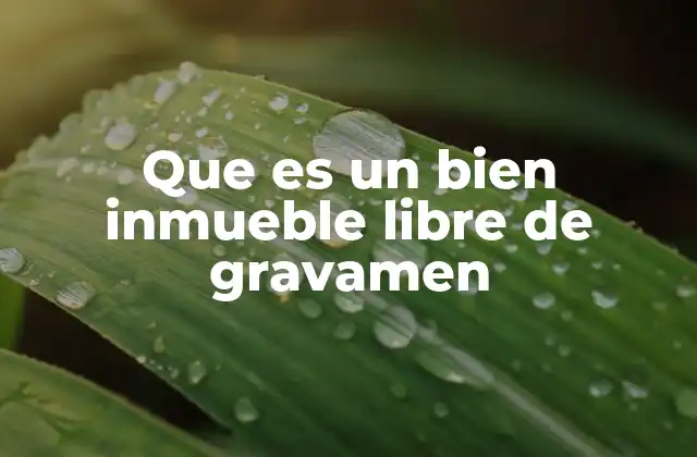 Que es un Bien Inmueble Libre de Gravamen
