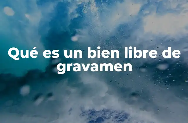 Qué es un Bien Libre de Gravamen