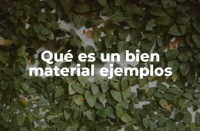 Qué es un Bien Material Ejemplos 2 La diferencia entre bienes materiales y no materiales