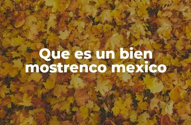 Que es un Bien Mostrenco Mexico