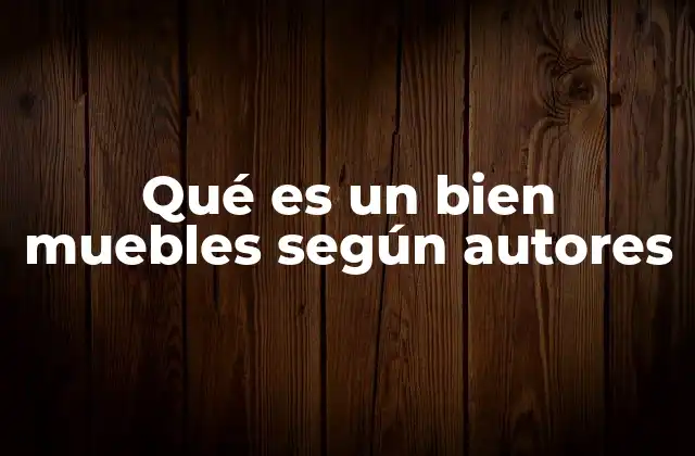 Qué es un Bien Muebles según Autores