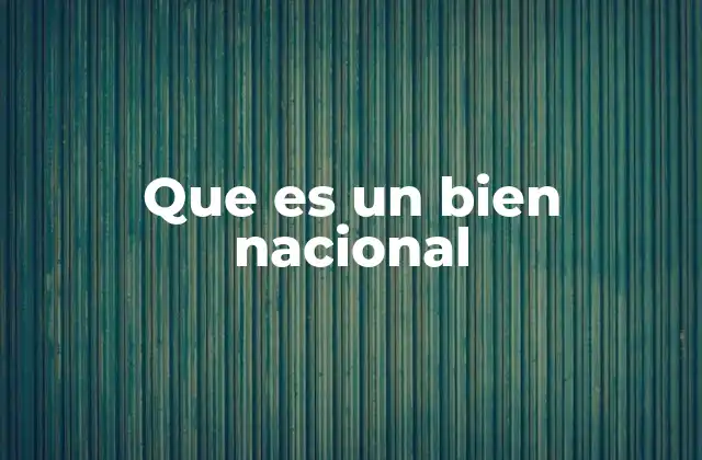 Que es un Bien Nacional