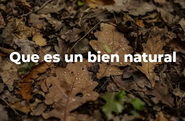 Que es un Bien Natural