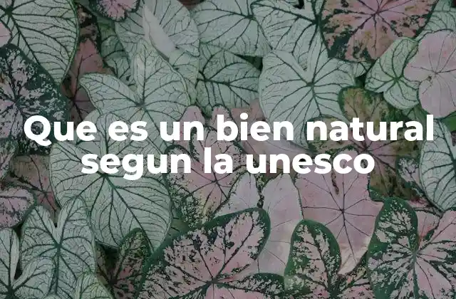 Que es un Bien Natural Segun la Unesco