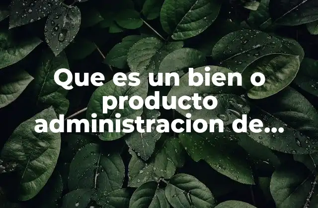 Que es un Bien o Producto Administracion de Operaciones