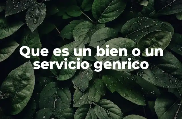 Que es un Bien o un Servicio Genrico